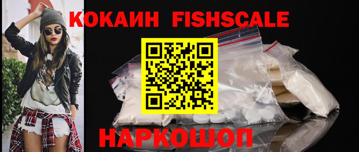 Cocaine Fish Scale  Cocaine Fish Scale  Вход с VPN  Новосибирск 