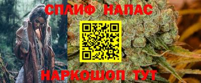 мяу мяу мука Ставрополь