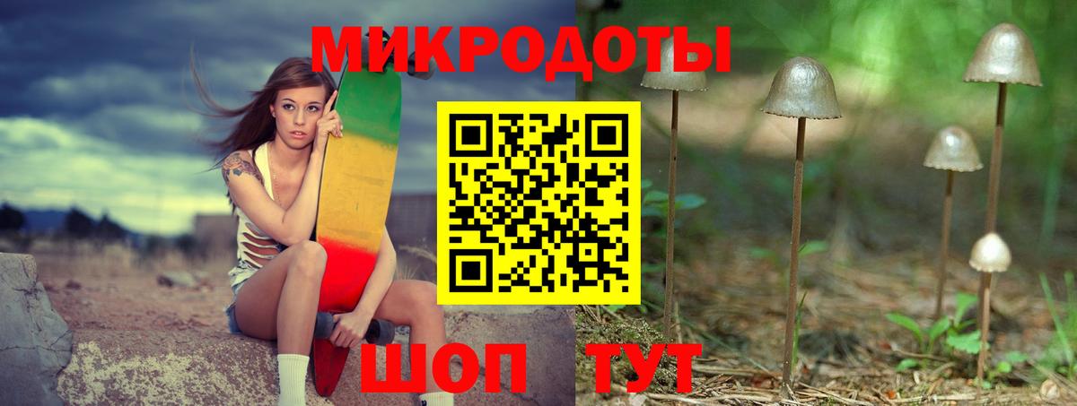Новосибирск  Галлюциногенные грибы Cubensis  Вход с VPN 
